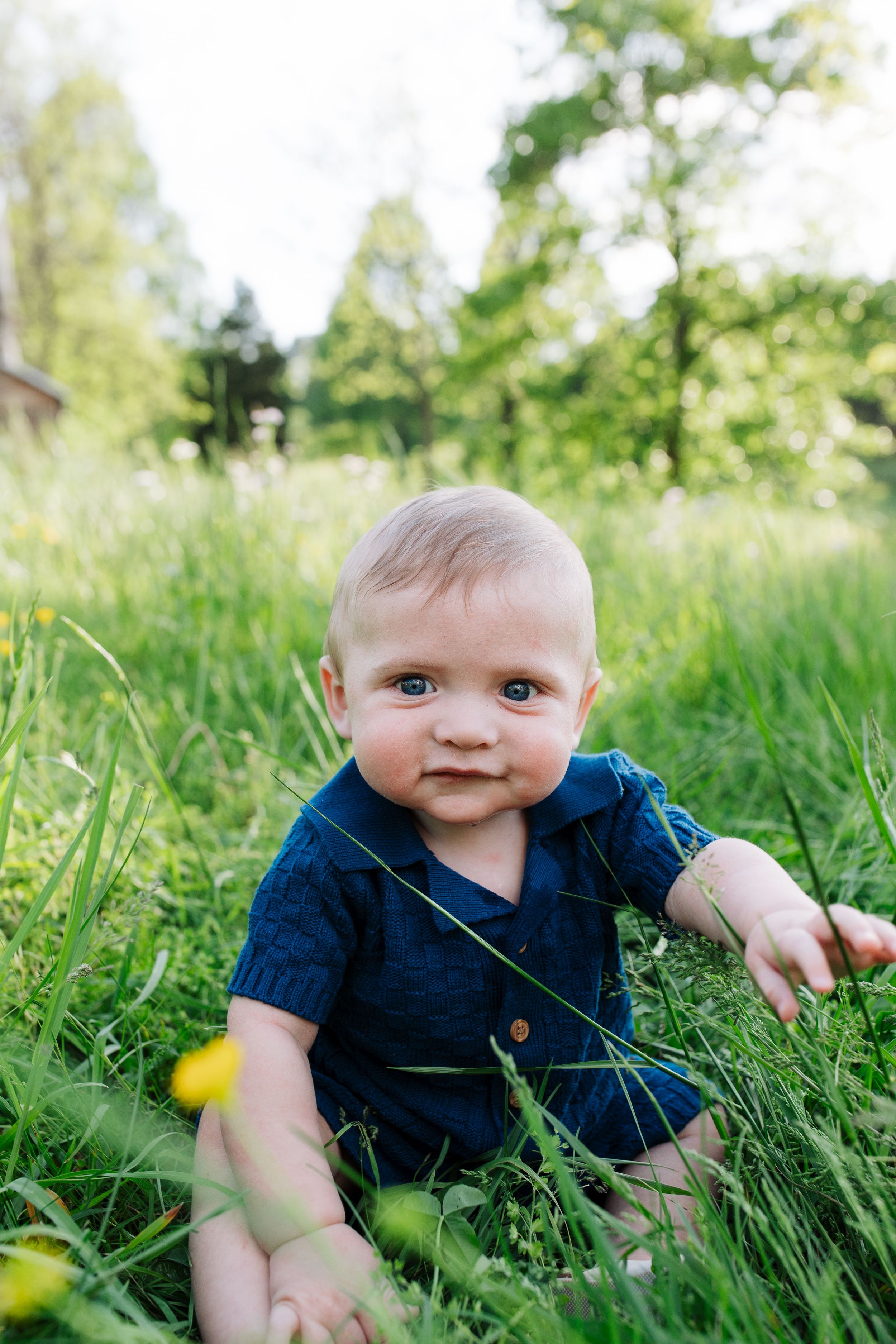 Baby in navy outfit sits in tall grass with yellow wildflowers.