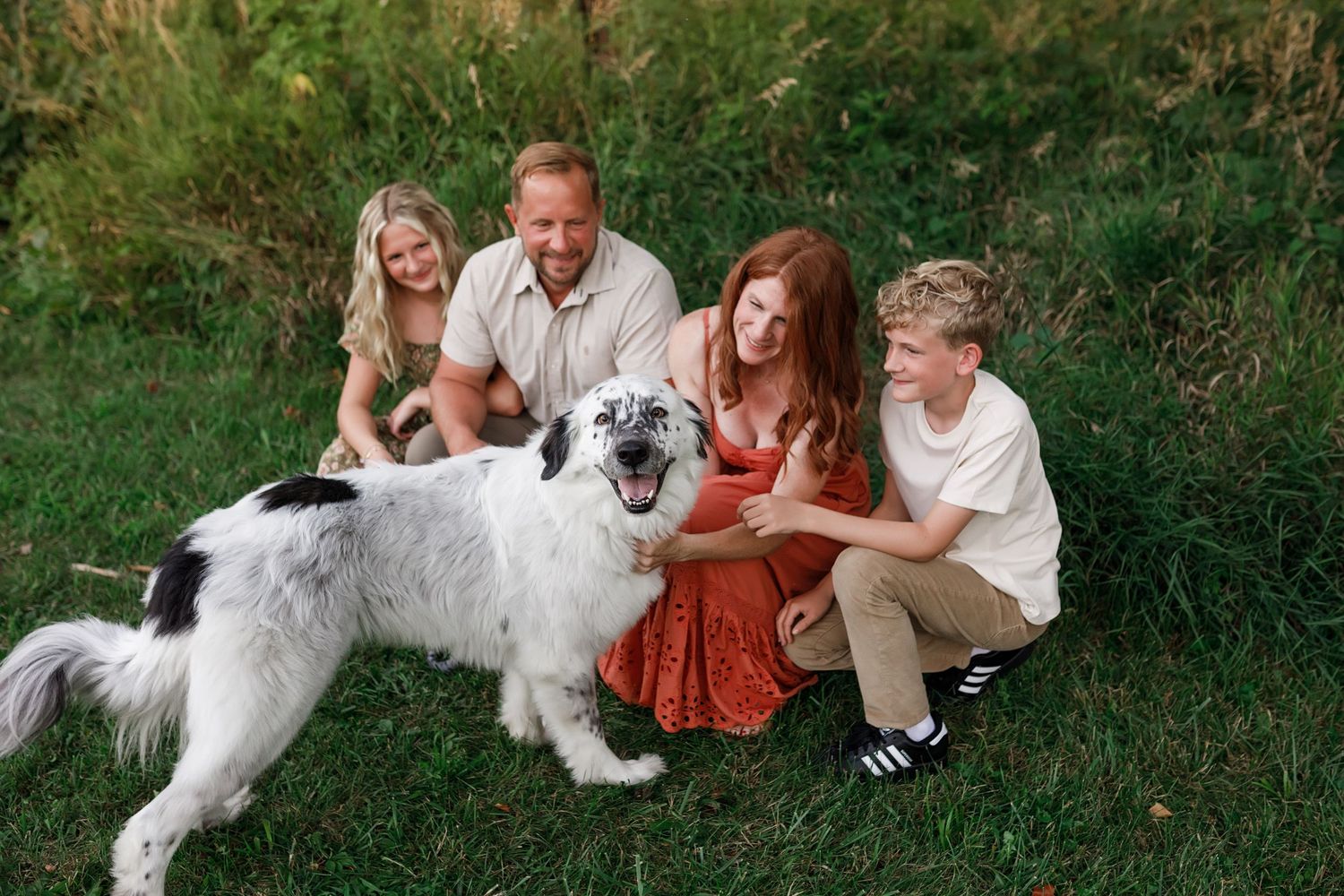 A white fluffy dog plays and shares joyful moments with its family on a grassy lawn.