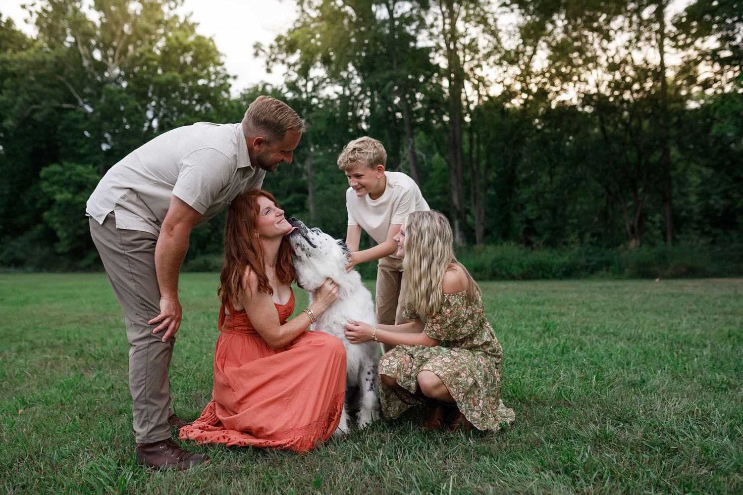 Several connected outdoor photos showing loving family moments in a grassy field at sunset.