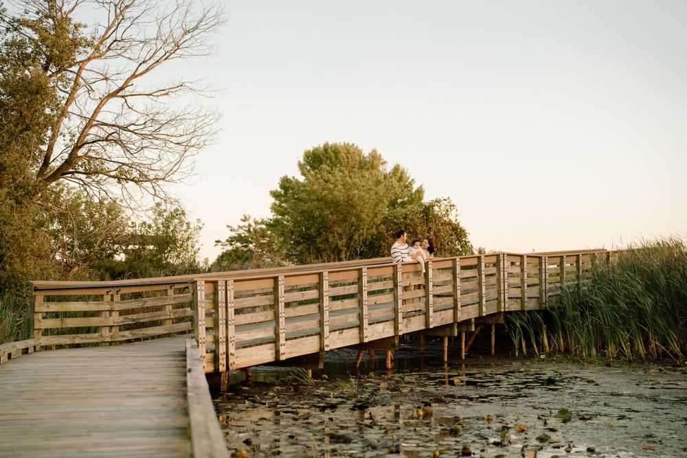 A wooden boardwalk stretches across a lily pad-covered pond at sunset with trees lining the background.
