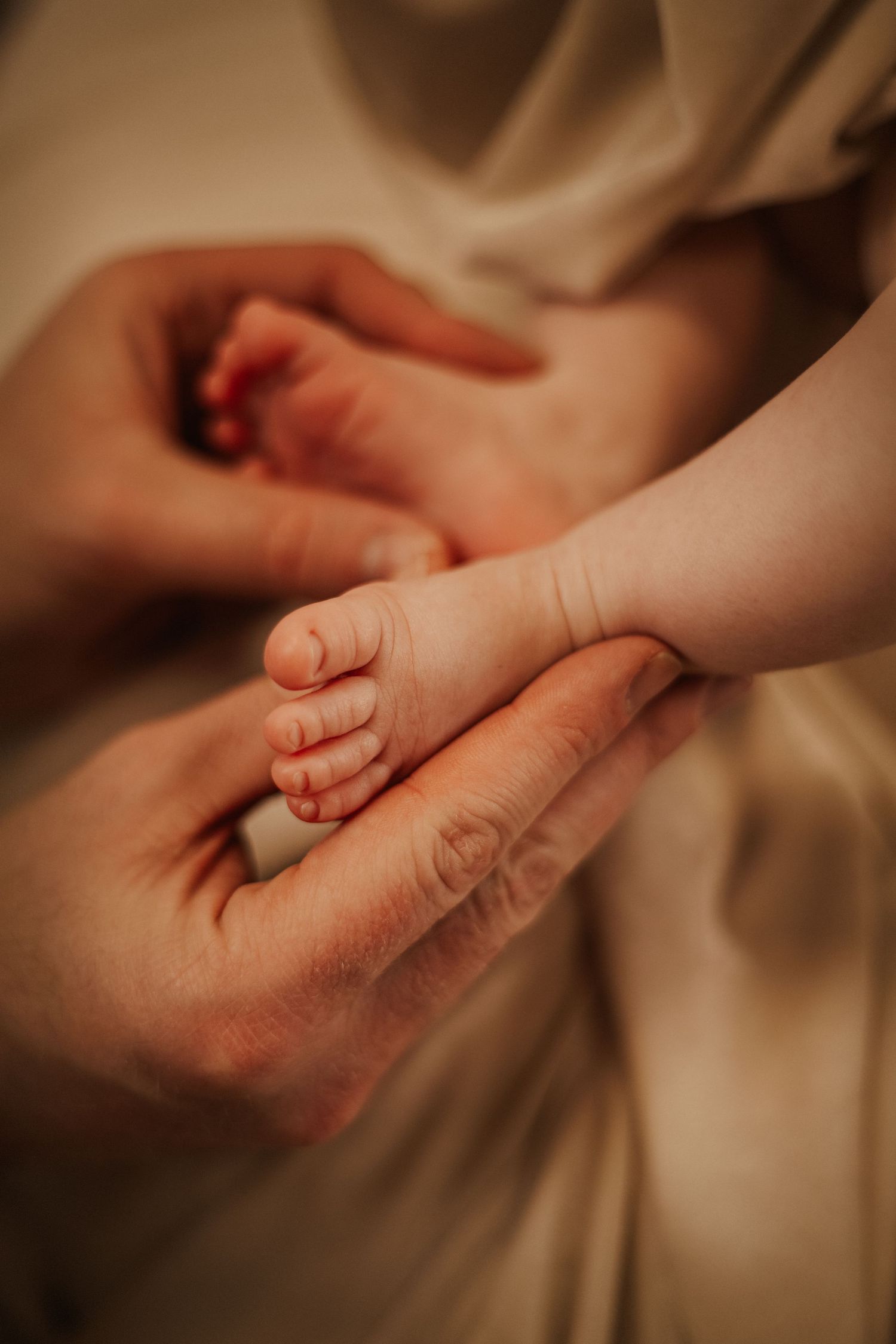 neonato newborn fotografia fotografo ancona fotografo famiglia fotografo marche