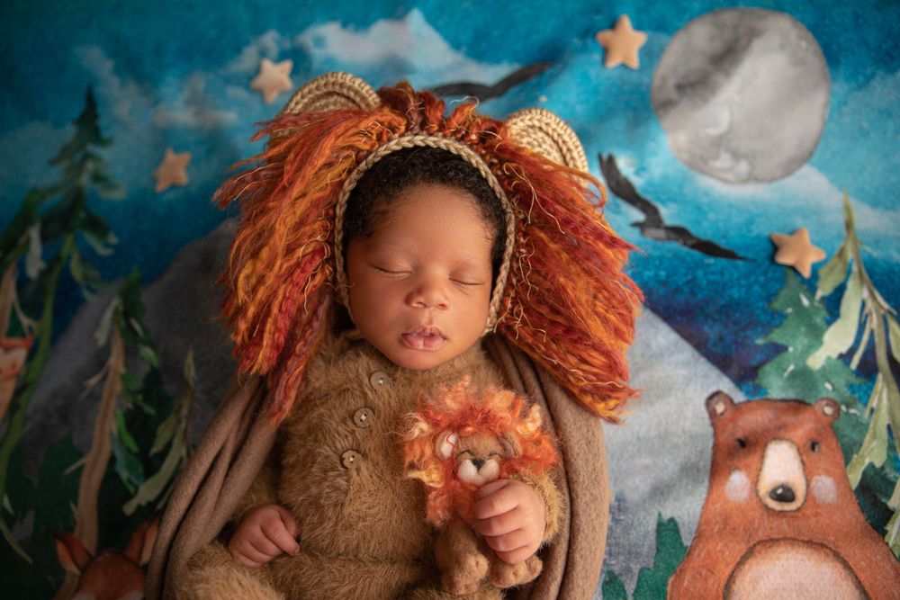 Sleeping newborn dressed as a lion during themed newborn photography session in Central Florida.