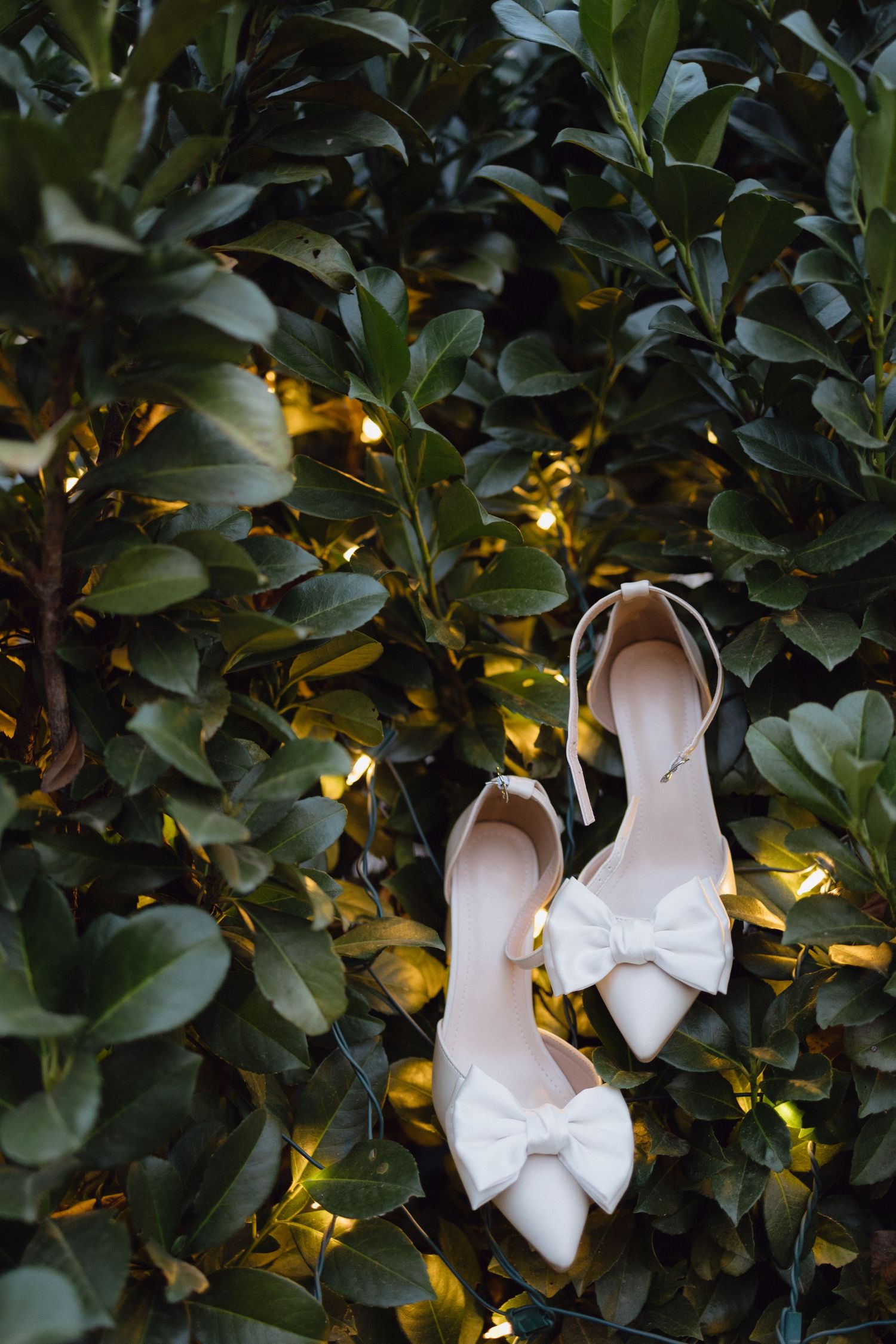 Georgia Wedding Photographer - Georgia Weddings - North Georgia Weddings, Elopements - Charleston Wedding - Savannah, GA Intimate wedding