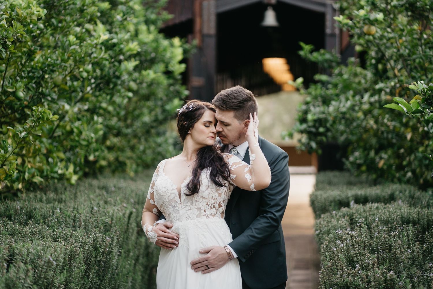 bride and groom sharing a posed moment with lush greenery with lemons in the background on their wedding at Cradle Valley in South Africa