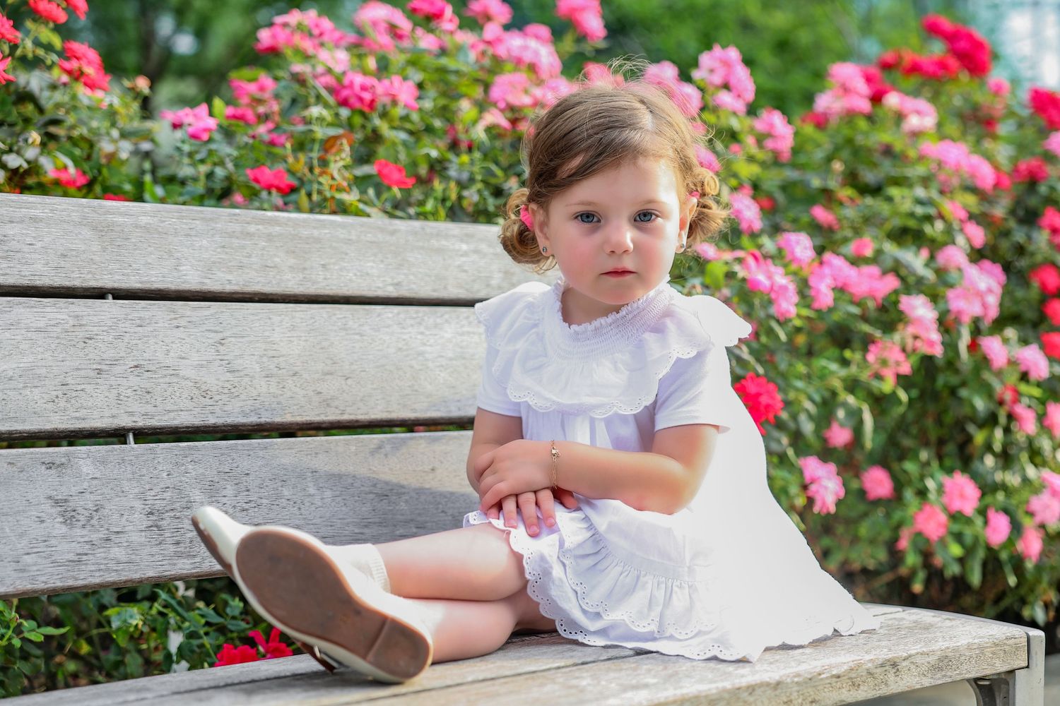 Sweet little girl in white dress sitting on bench surrounded by pink roses.