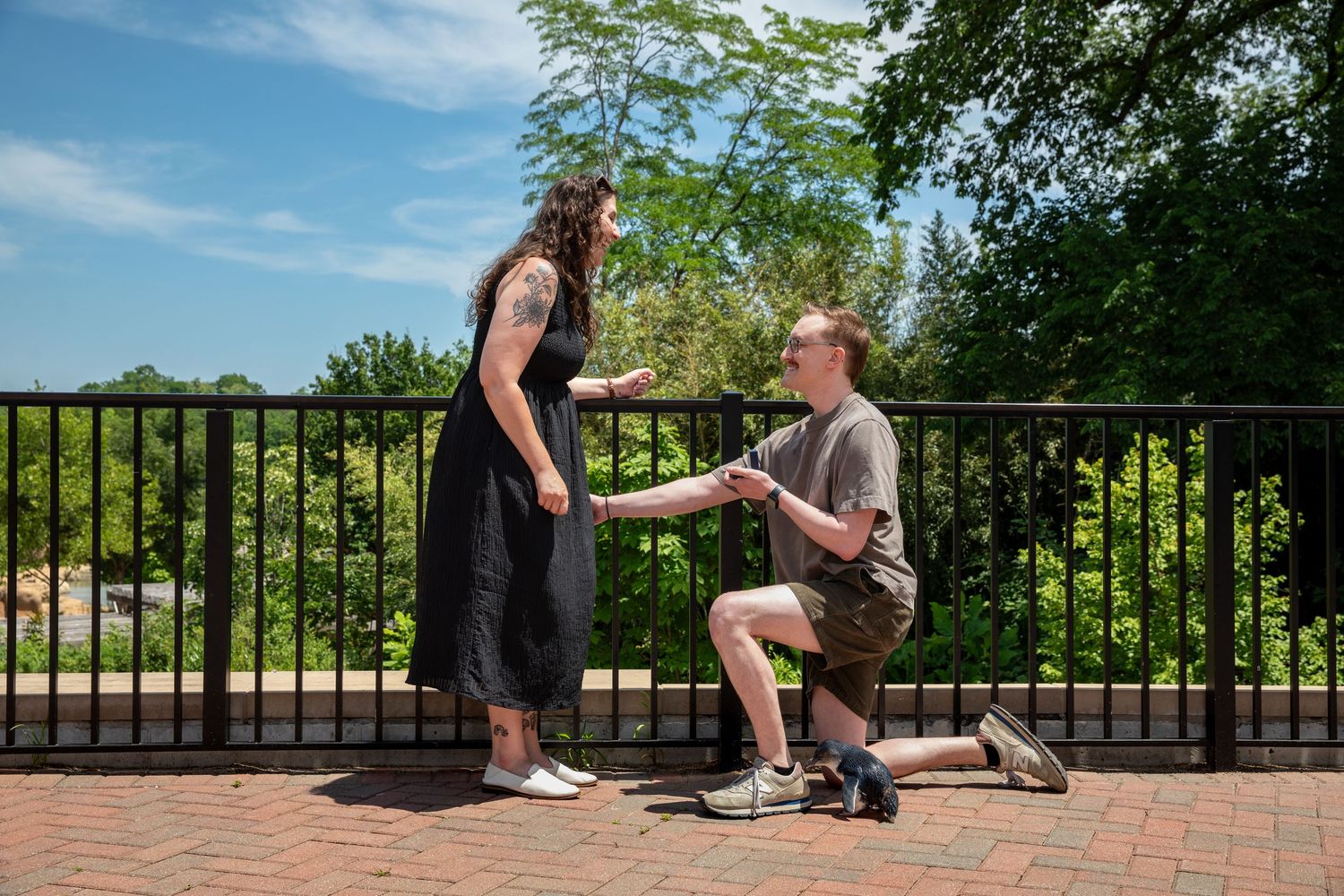 Teresa reacts with joy as Chad proposes during a private animal encounter with Julep the penguin.