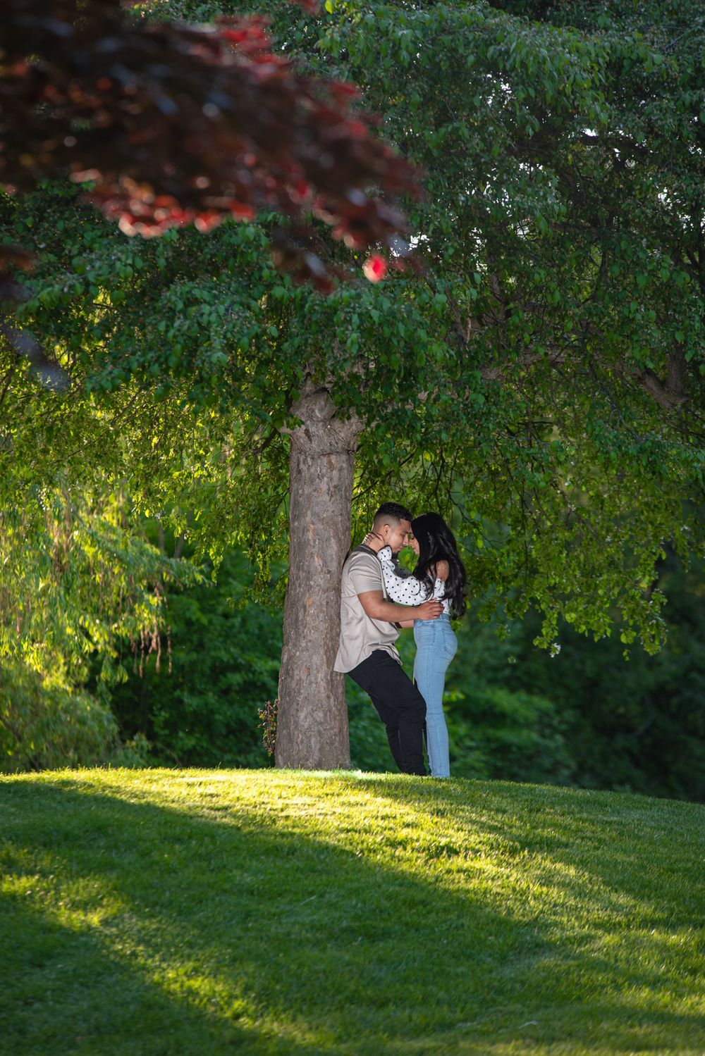 Couple sharing a romantic kiss beneath a tall tree on a sunlit grassy hillside.