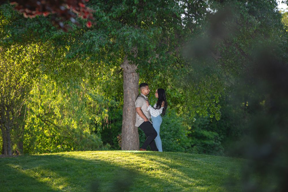 Couple standing close together beside a large tree in a sunlit green park landscape.