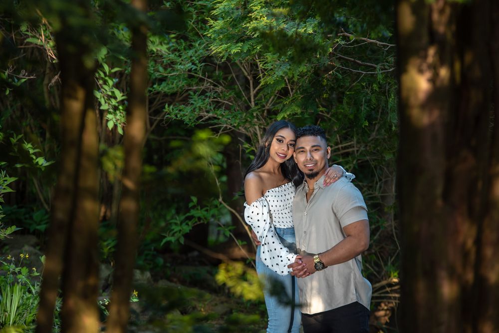 Couple posing together among tall trees in a lush green forest with dappled sunlight.