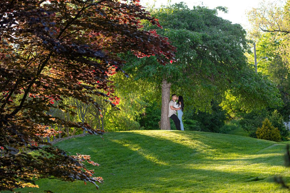 Couple standing together under a large tree on a lush green hill framed by colorful foliage.
