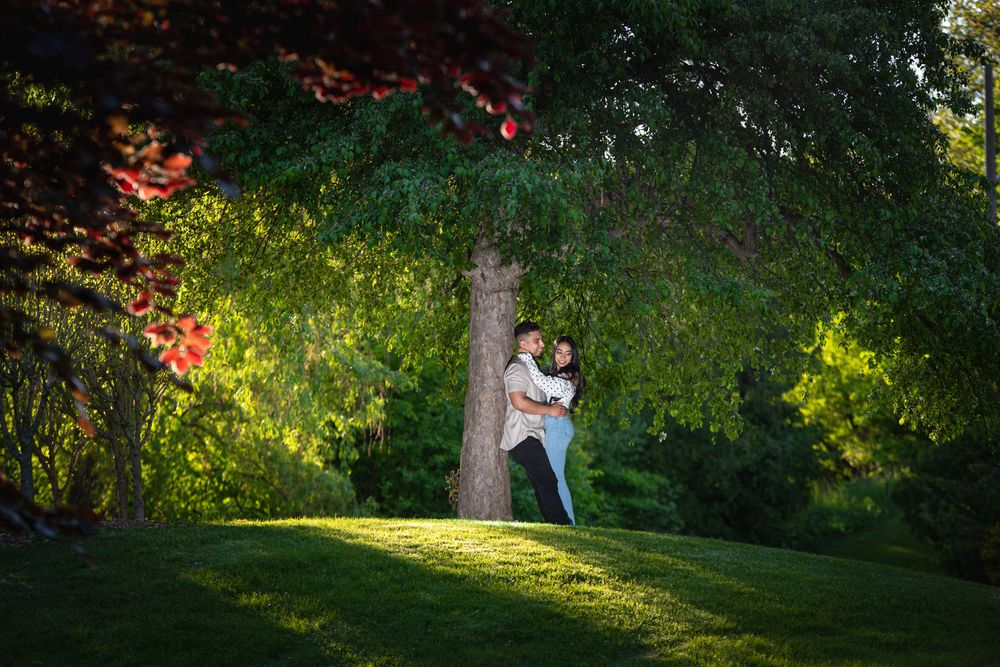 Couple embracing beside a large tree on a green hillside bathed in warm golden light.