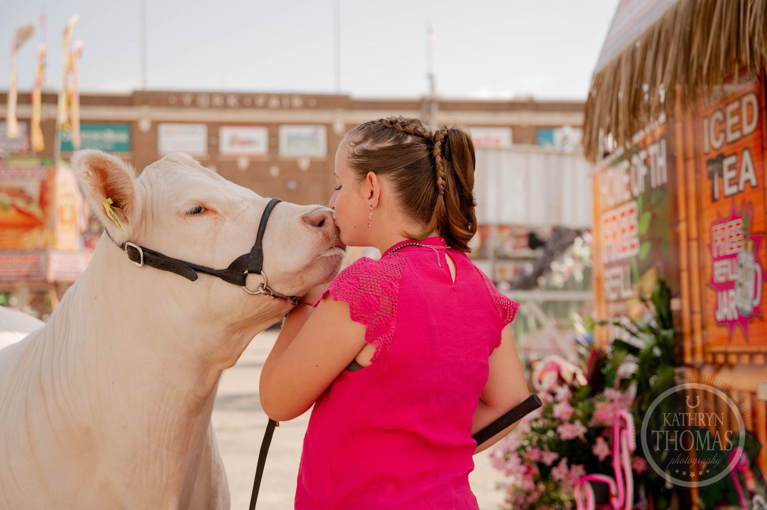 A young woman in a pink shirt leads a white cow at a state fair with carnival rides in the background.