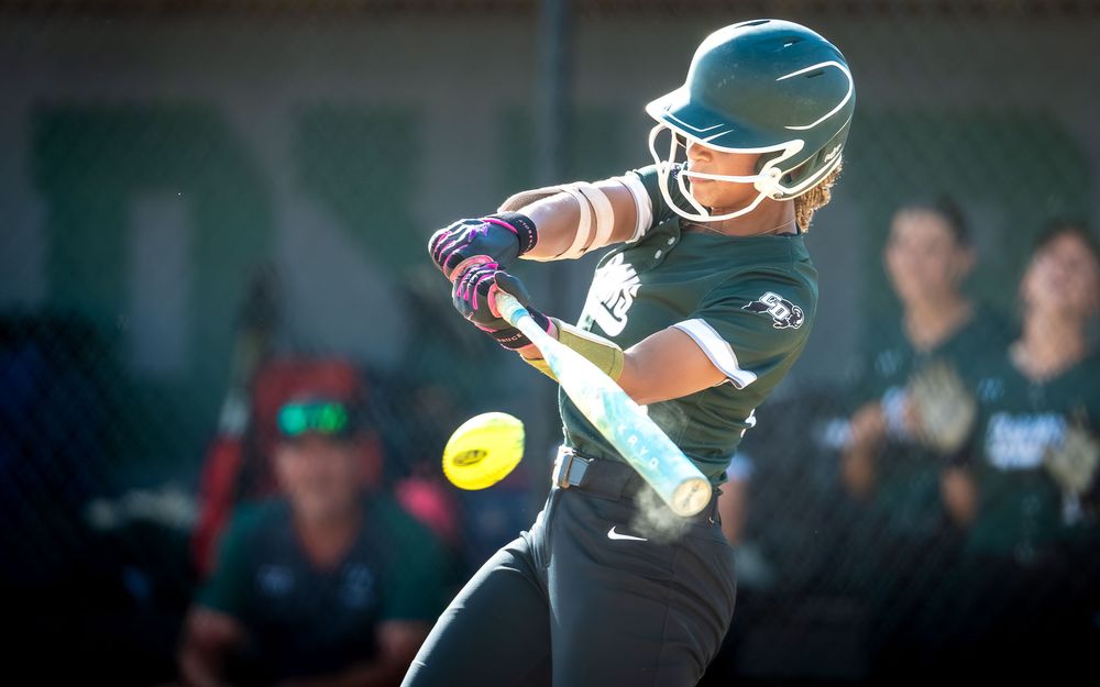 Central Dauphin Rams batter makes contact vs North Penn, PIAA States Round One, by Deanna Fox, SportsFox Photography based in Hershey PA