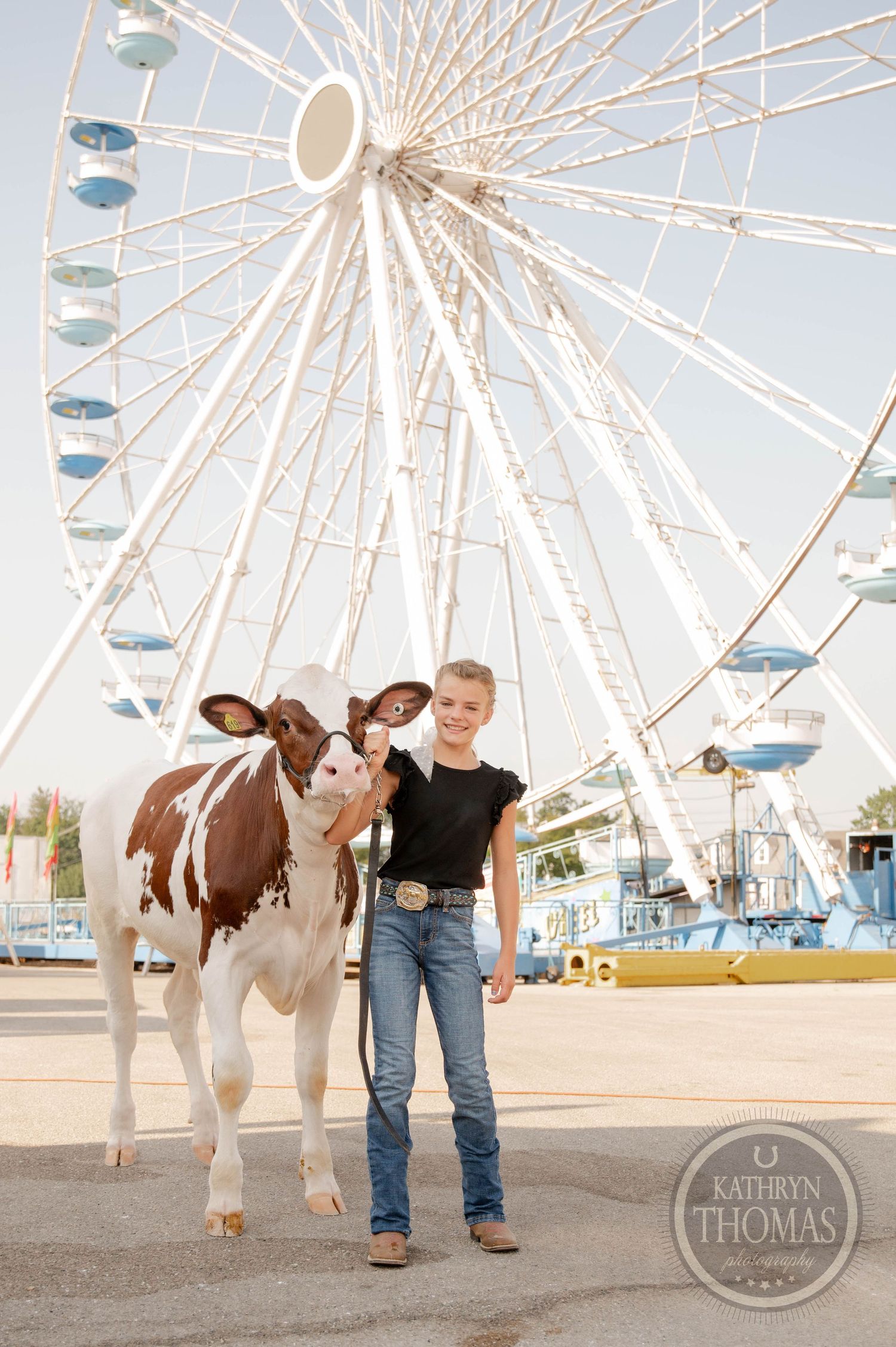 Young girl in jeans poses with a brown and white calf in front of a large white Ferris wheel at a county fair.
