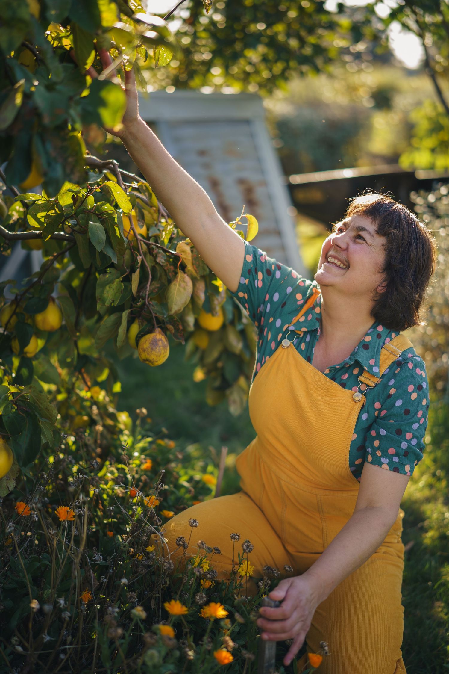 Happy woman in yellow apron reaching up to pick fruit from a tree in a sunny garden.

Mara Ripani