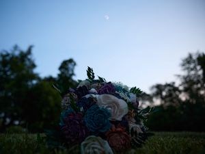 Blurred bokeh lights against a dark outdoor background create an atmospheric nighttime scene.