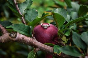An engagement ring artistically placed on a red apple among green leaves.