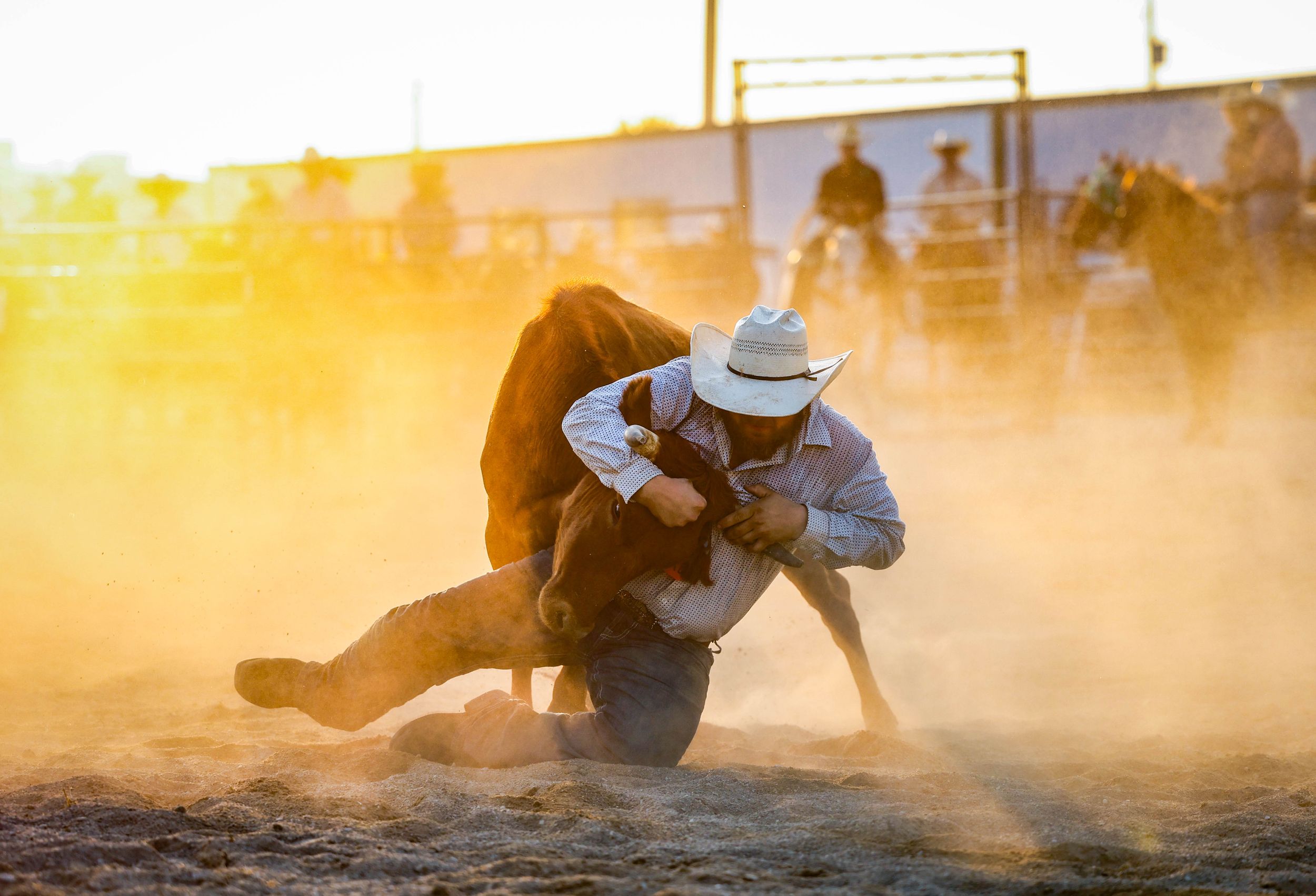 Rodeo Photo jnicholasphotos