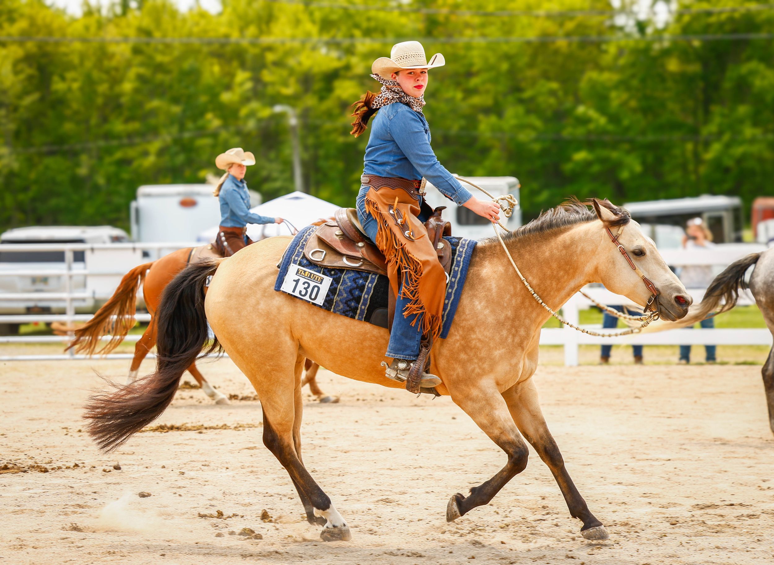 NEOHA Horse Show Photo jnicholasphotos