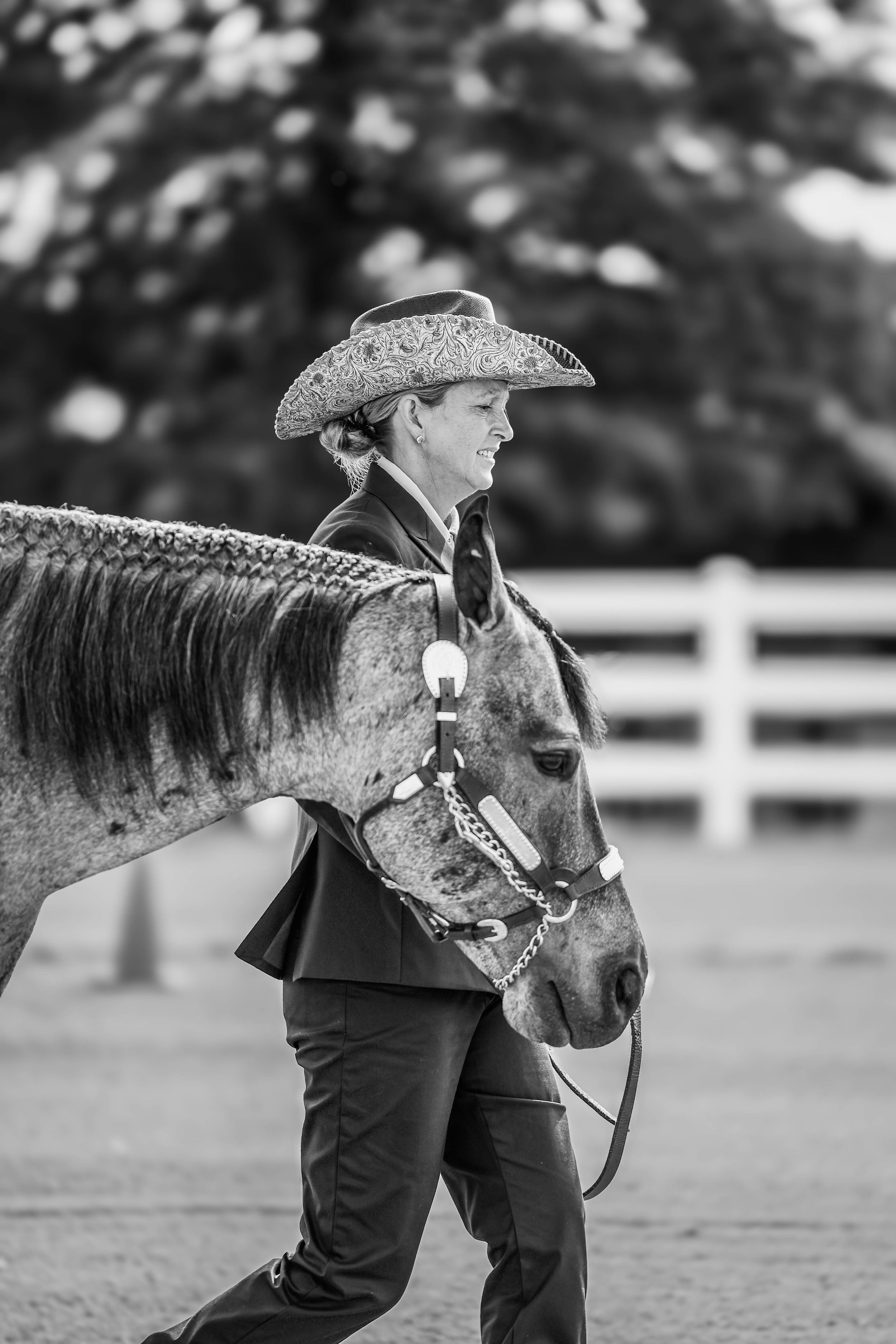 NEOHA Horse Show Photo jnicholasphotos
