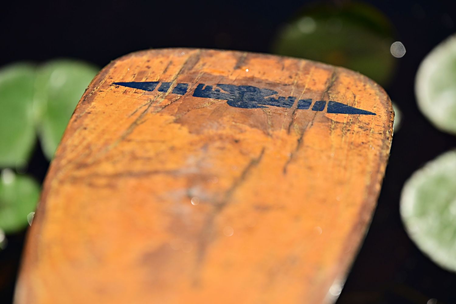 Thunderbird paddle