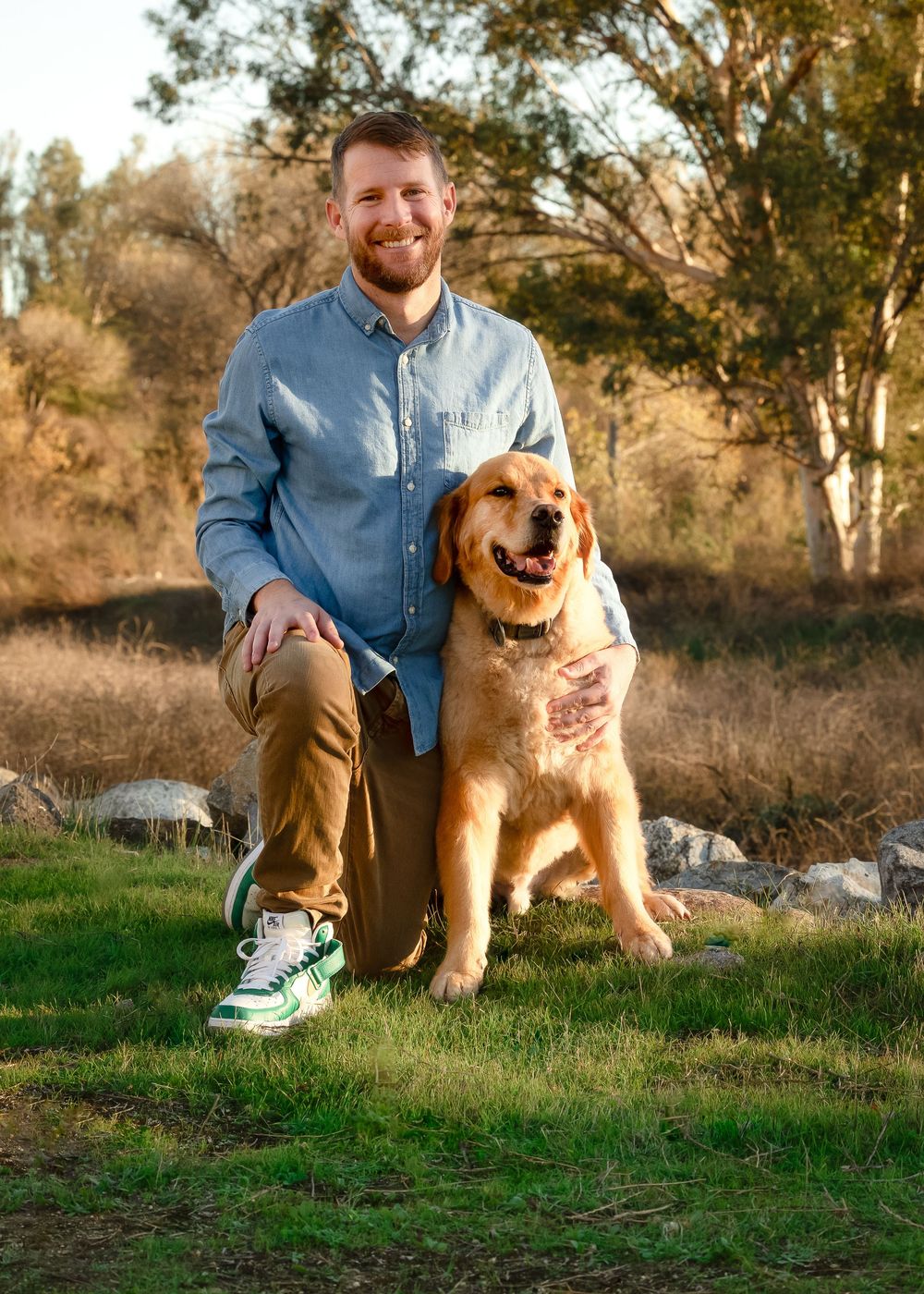 A Golden Retriever dog sits happily in a grassy field at sunset with autumn trees in the background.