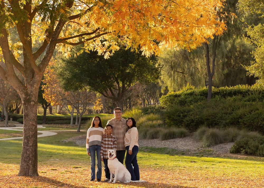 People enjoying a peaceful autumn afternoon in a park with golden fall foliage and sunlit trees.