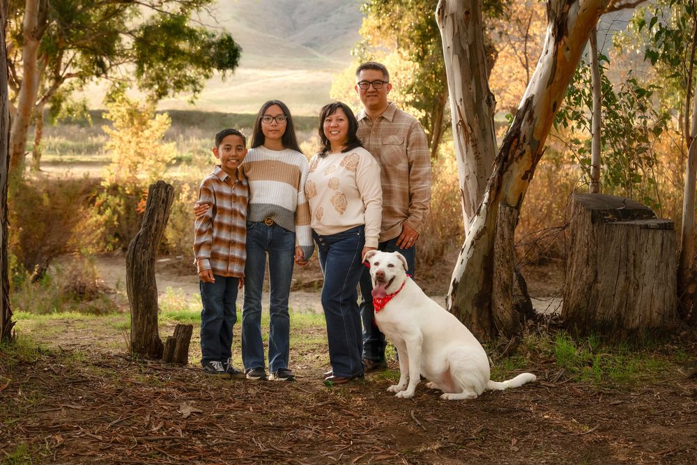 A series of connected outdoor family portrait photos showing people and a white dog in natural settings at sunset.