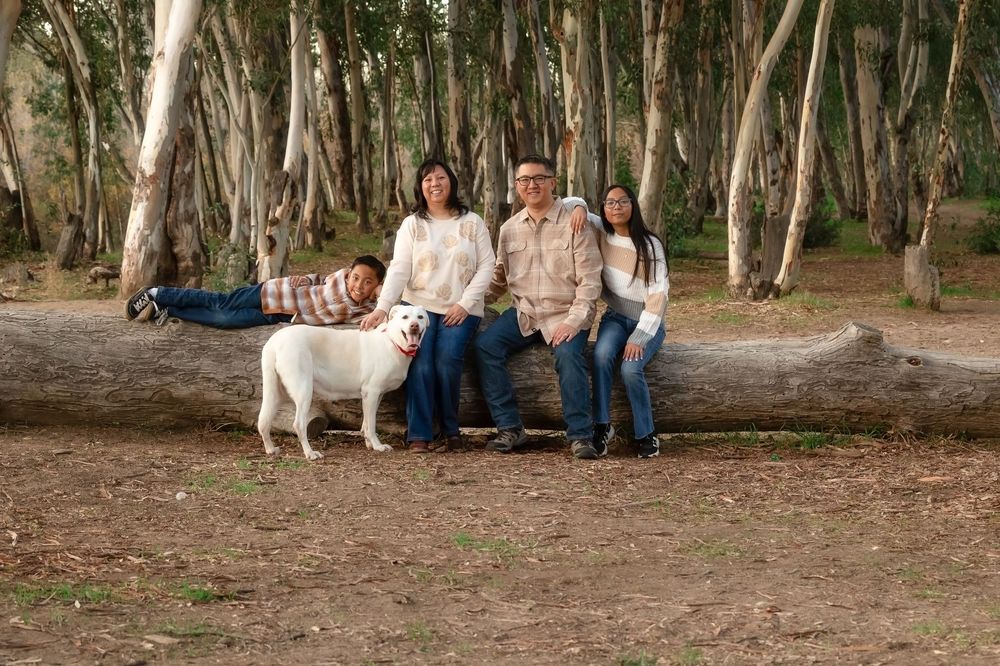 Family sitting on fallen tree trunk in eucalyptus forest with white dog during outdoor photo session.