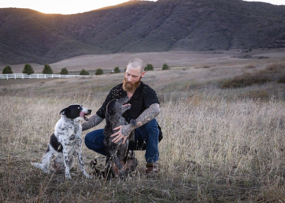 A person and dog walk through a scenic mountain landscape at sunset with tall dry grass in the foreground.