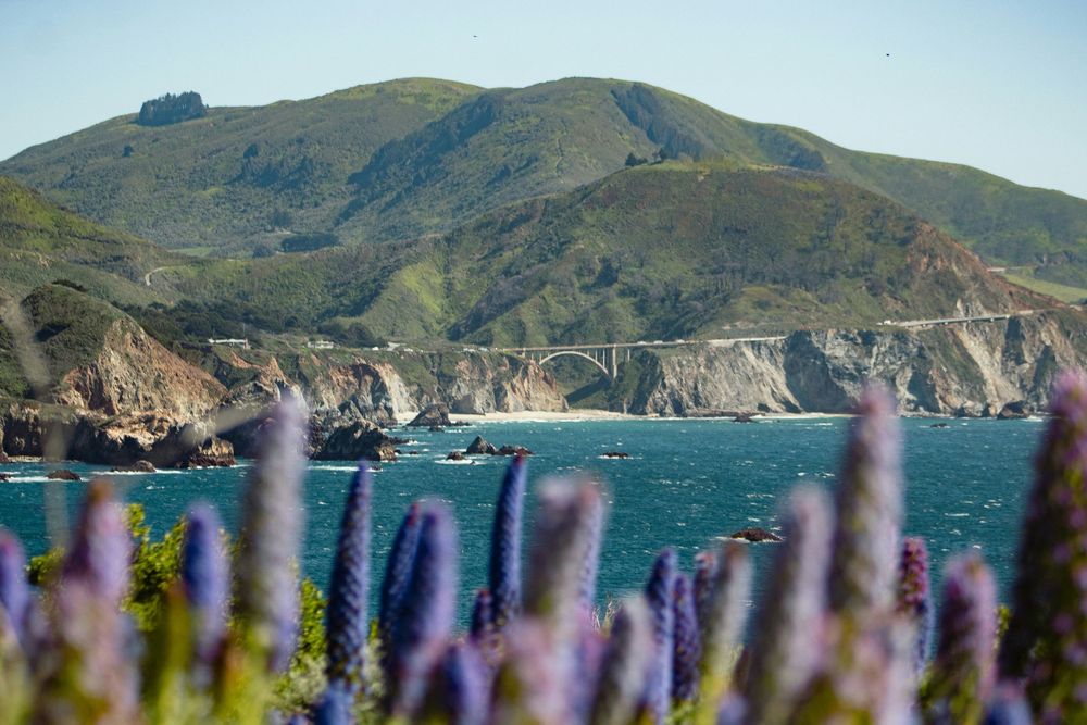 Big Sur engagement session