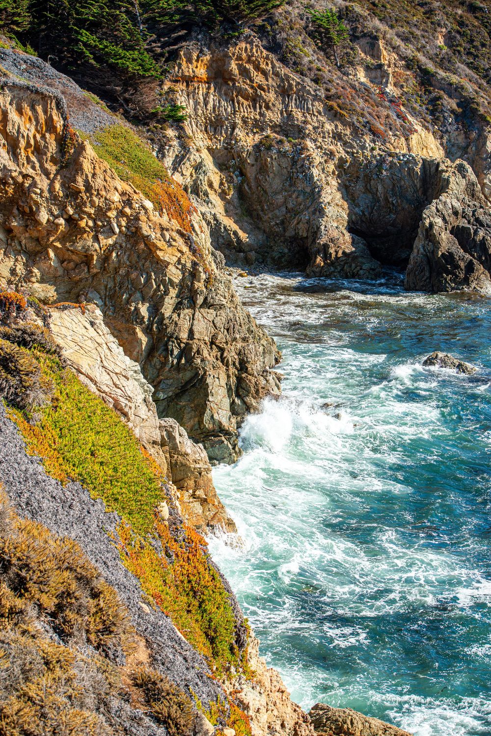 . Big Sur Engagement session