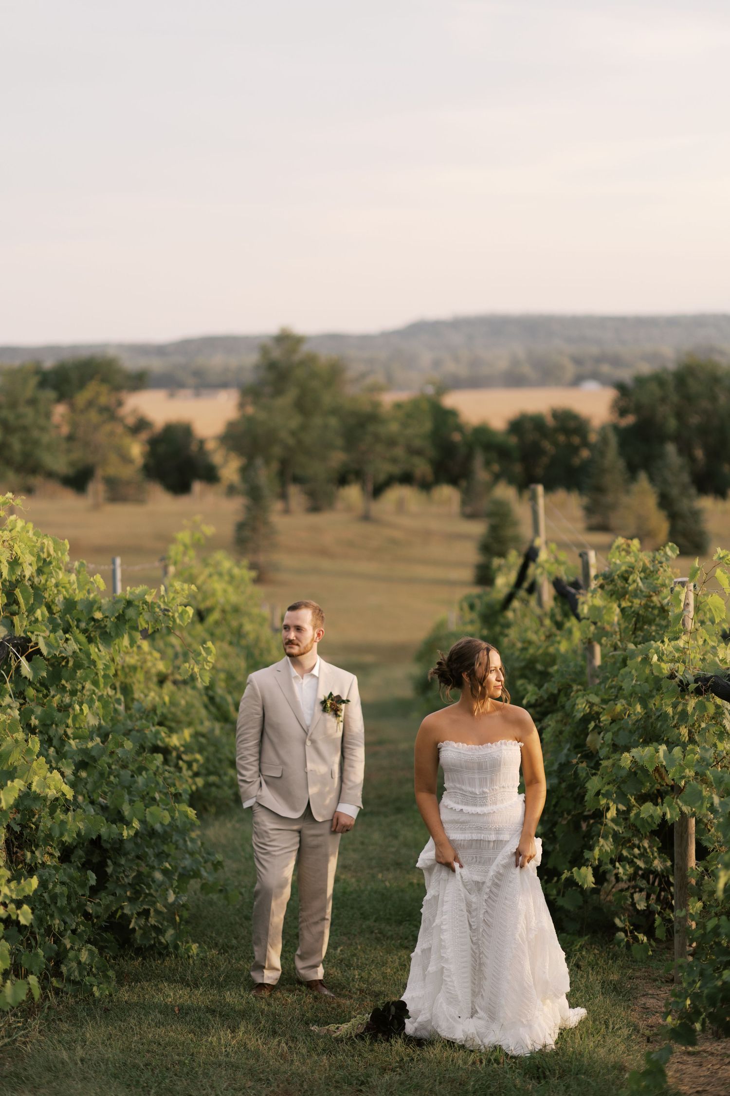 A couple poses for romantic wedding photos among rows of grapevines in a scenic vineyard at sunset.