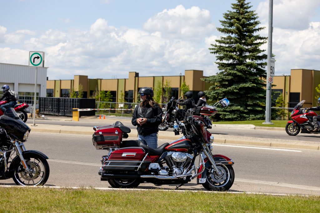 A row of motorcycles parked outside a commercial building on a sunny day with evergreen trees in the background.
