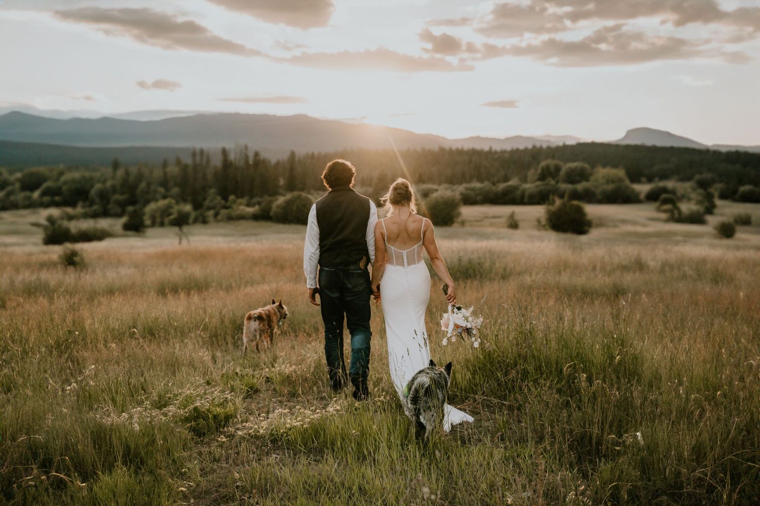 Bride and groom walk hand in hand while their red heeler runs alongside them into a golden field at sunset. Montana wedding photographer.