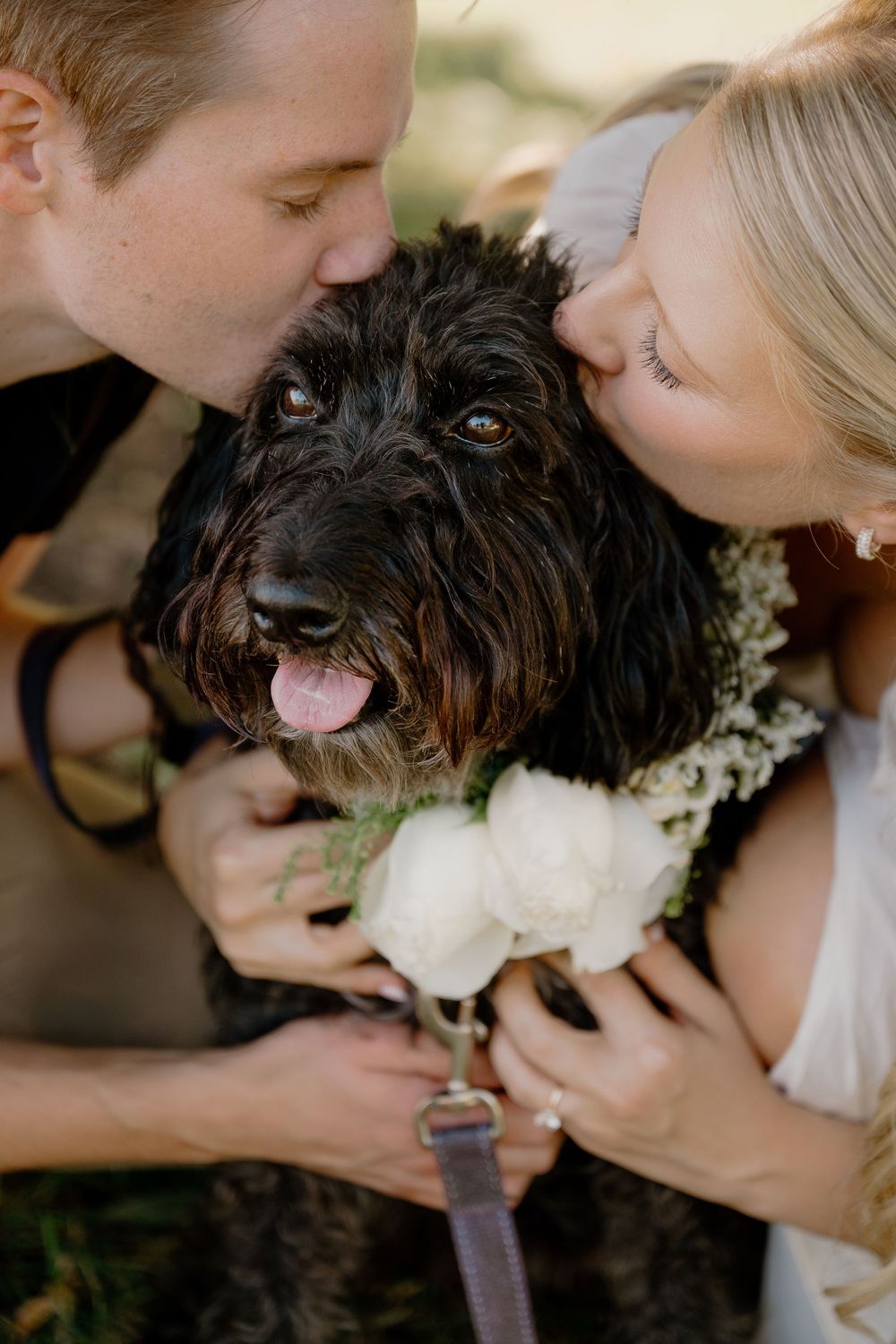 Black dog wearing floral collar gets affectionate attention during wedding photoshoot.