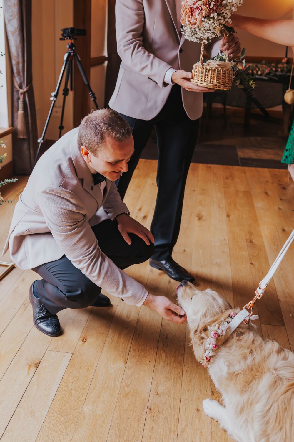 A golden retriever dog gets pets and attention during an indoor wedding celebration on hardwood floors.