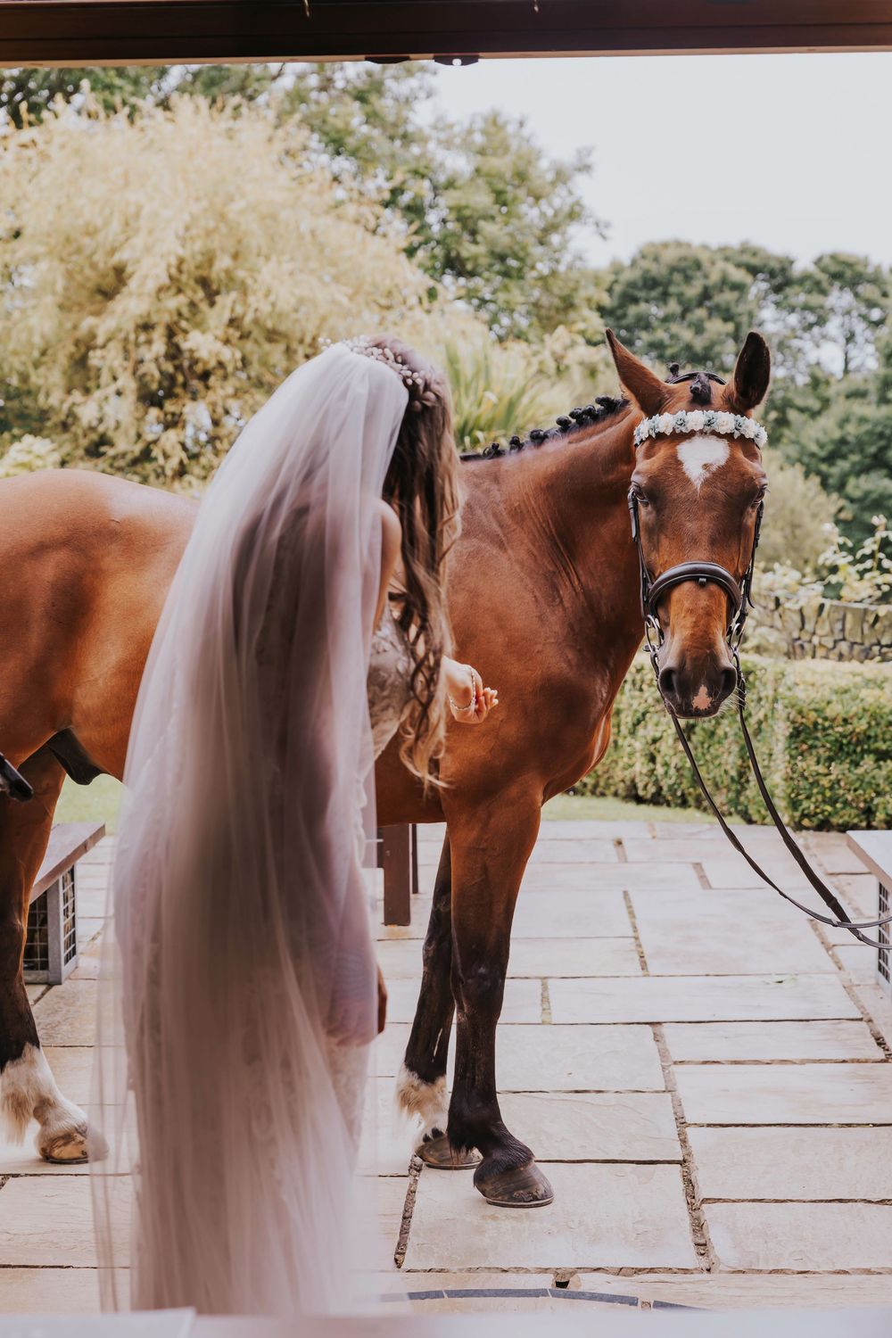A horse stands beside a person wearing a flowing wedding dress veil on a stone patio.