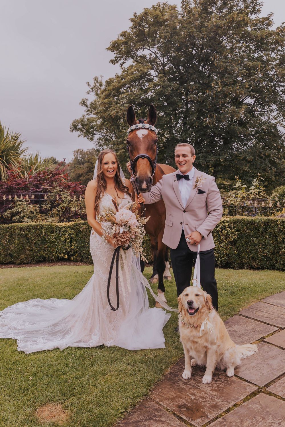 A wedding photo featuring a couple posing with their brown horse and golden retriever on a manicured garden lawn.