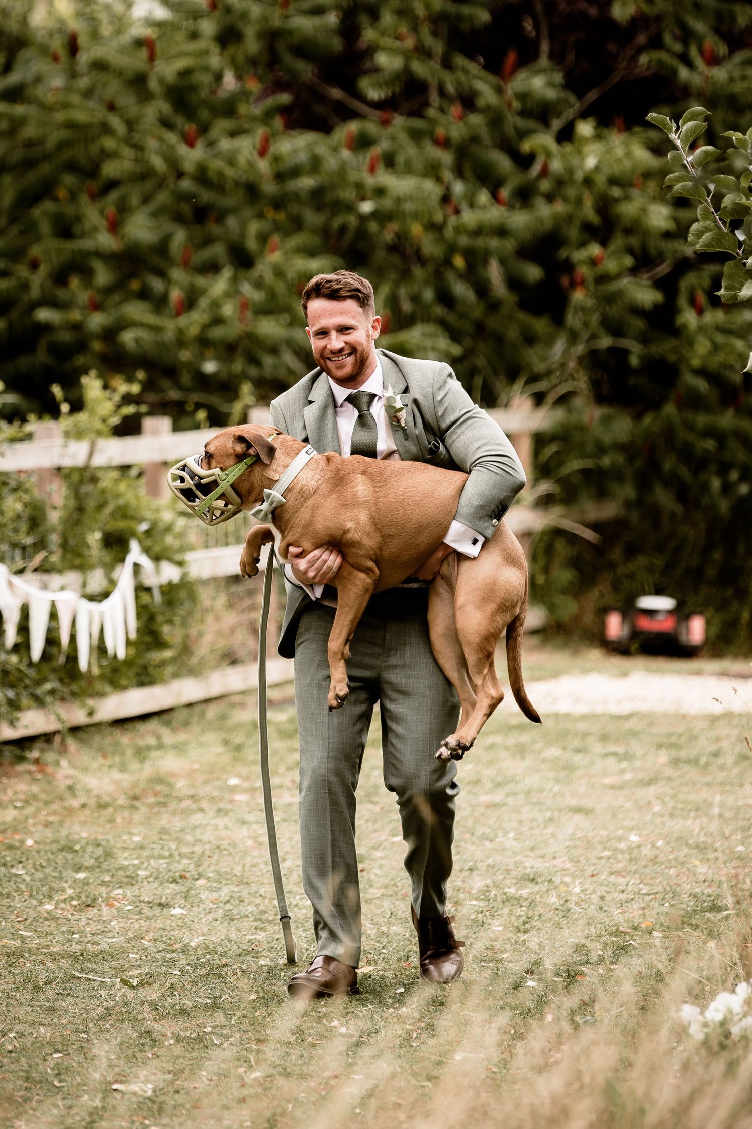 Playful sequence of person in grey suit carrying excited brown dog outdoors.