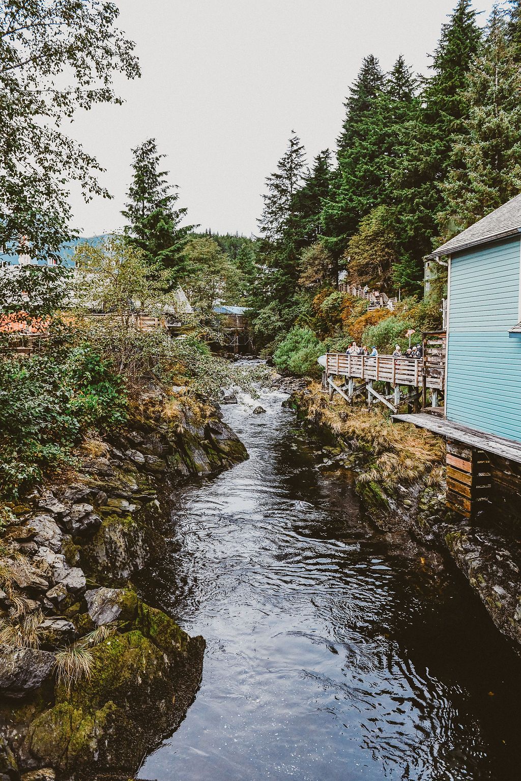 A tranquil creek flows between mossy rocks and lush evergreen forest beside a blue wooden building in the Pacific Northwest.