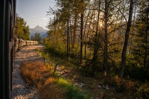 A scenic train journey through autumn forest with golden sunlight filtering through trees and mountains.