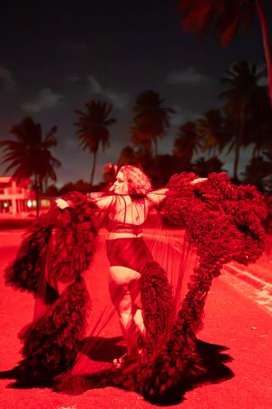 Performer in red lighting poses dramatically with large feathered fans on a tropical beach at night.