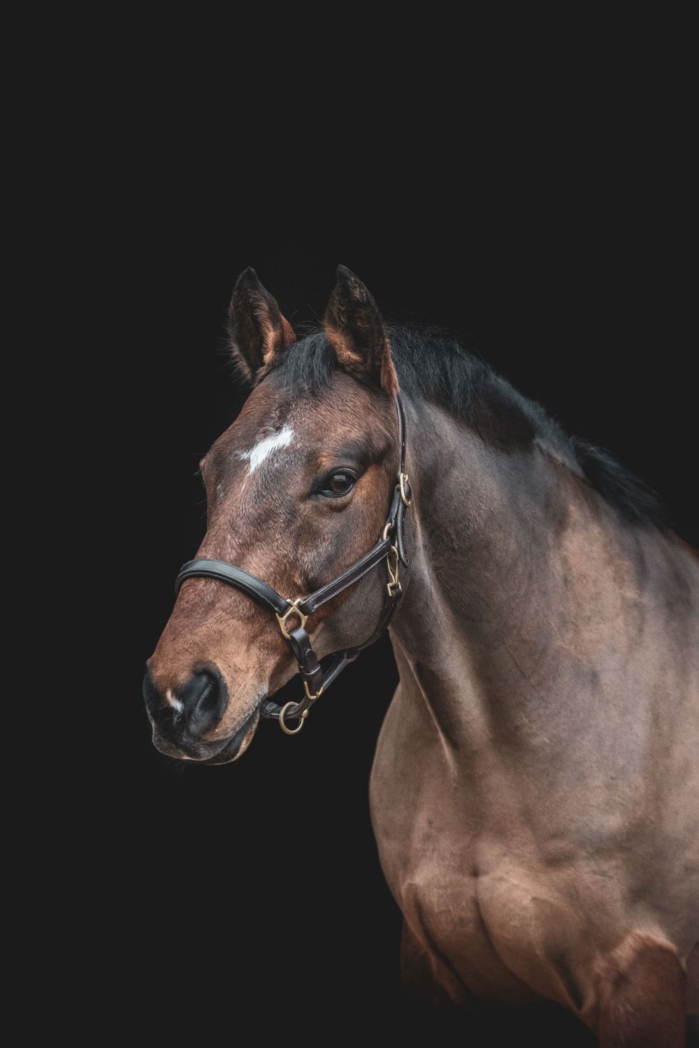Fine Art Portfolio, Emma Laws Photography