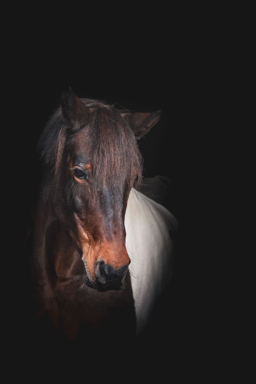 Fine Art Portfolio, Emma Laws Photography