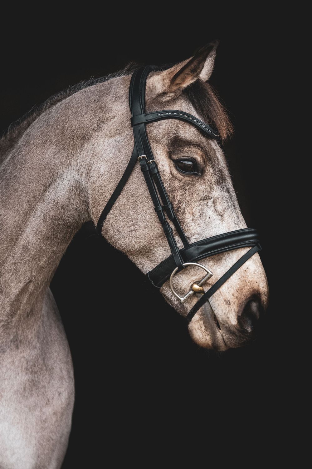 Fine Art Portfolio, Emma Laws Photography