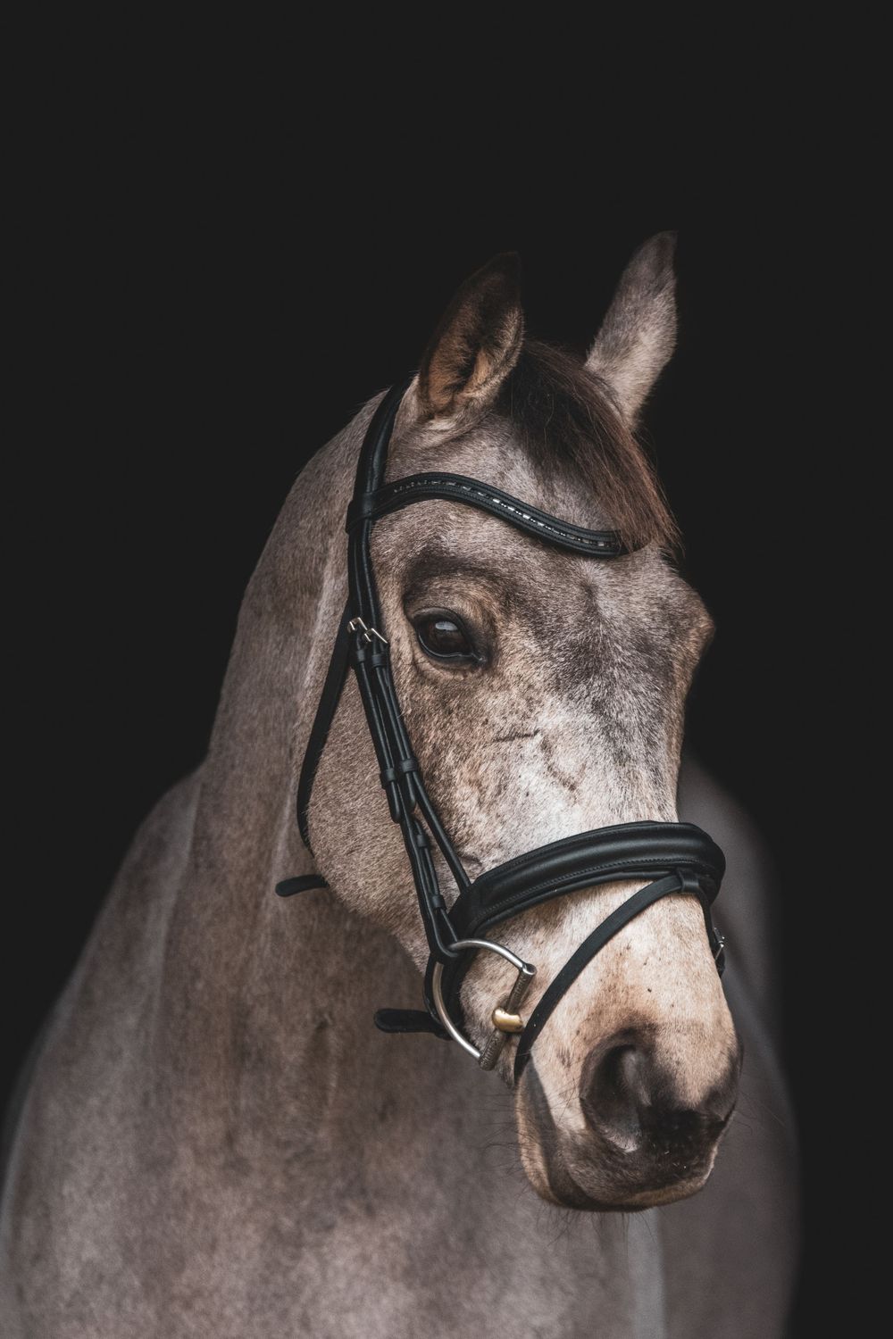 Fine Art Portfolio, Emma Laws Photography
