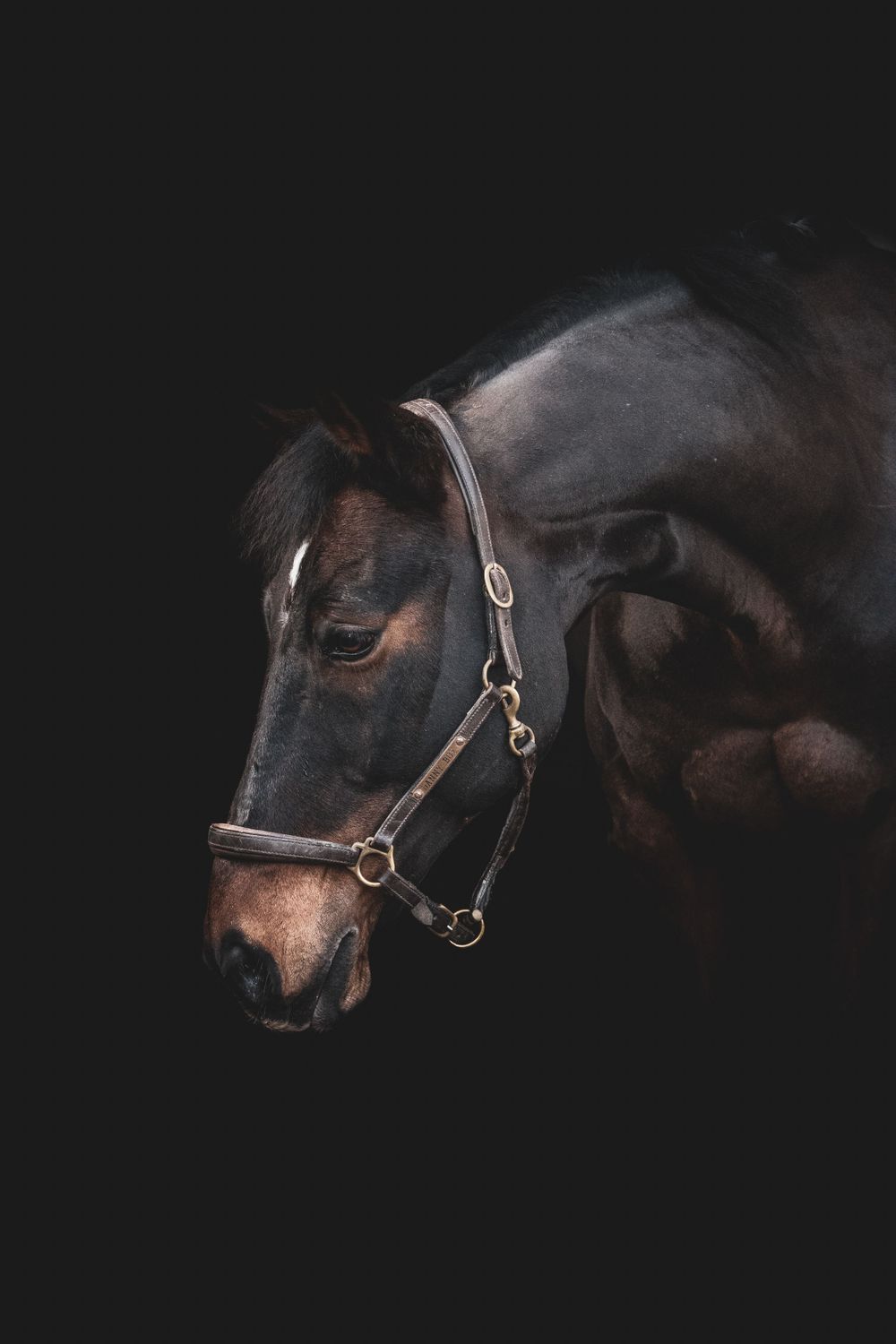 Fine Art Portfolio, Emma Laws Photography