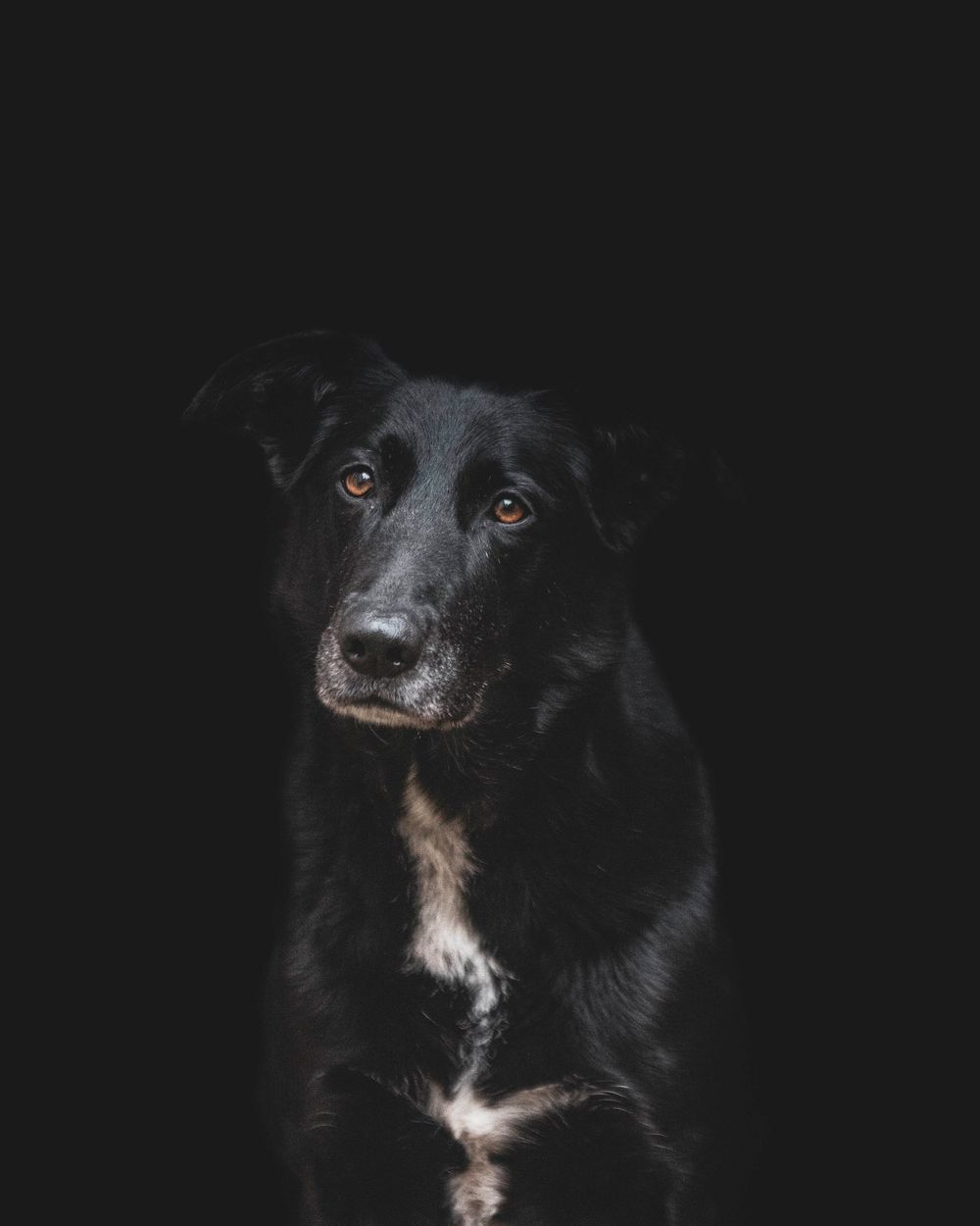 Fine Art Portfolio, Emma Laws Photography