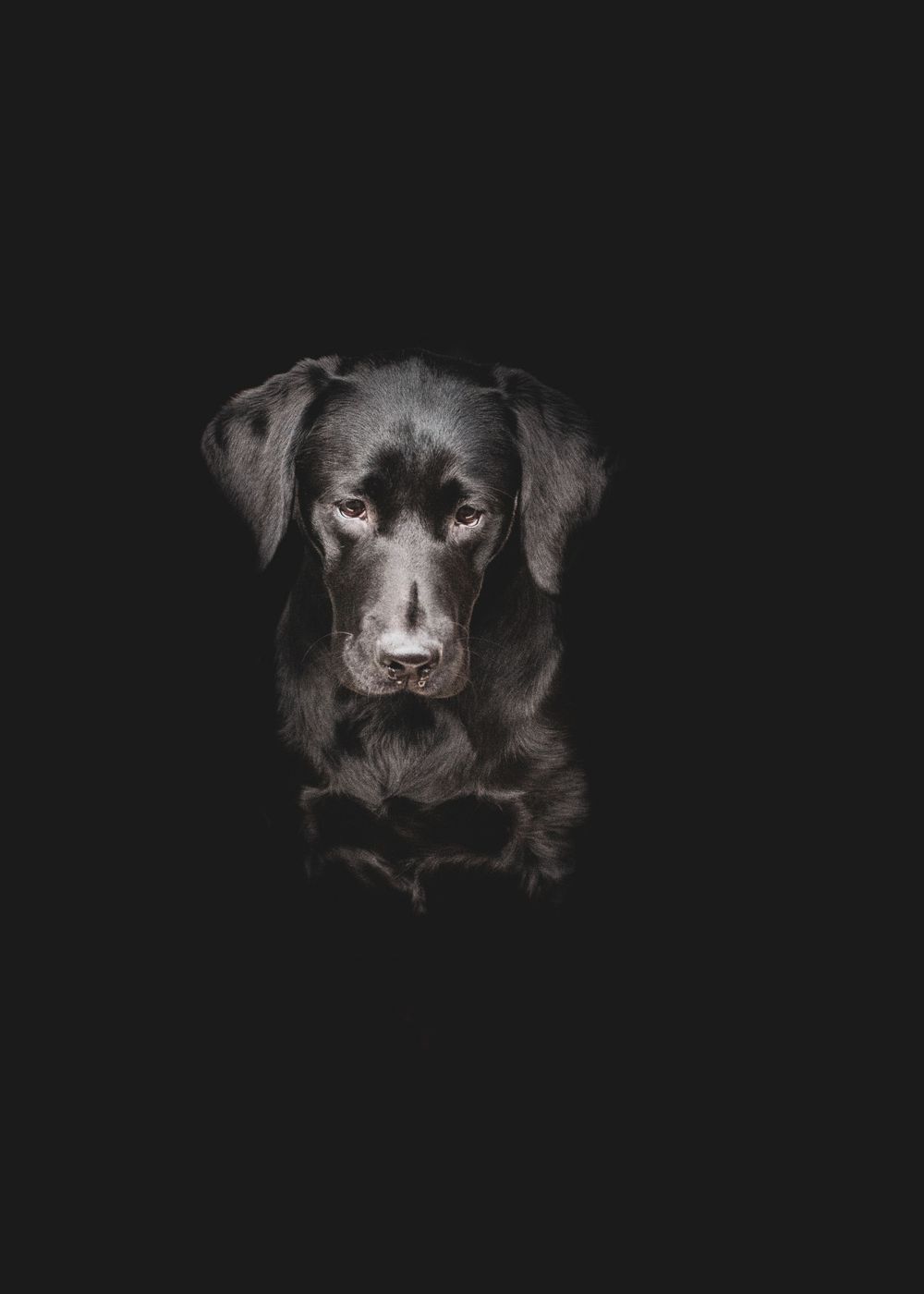 Fine Art Portfolio, Emma Laws Photography
